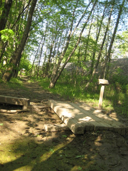 Moser Hole 8